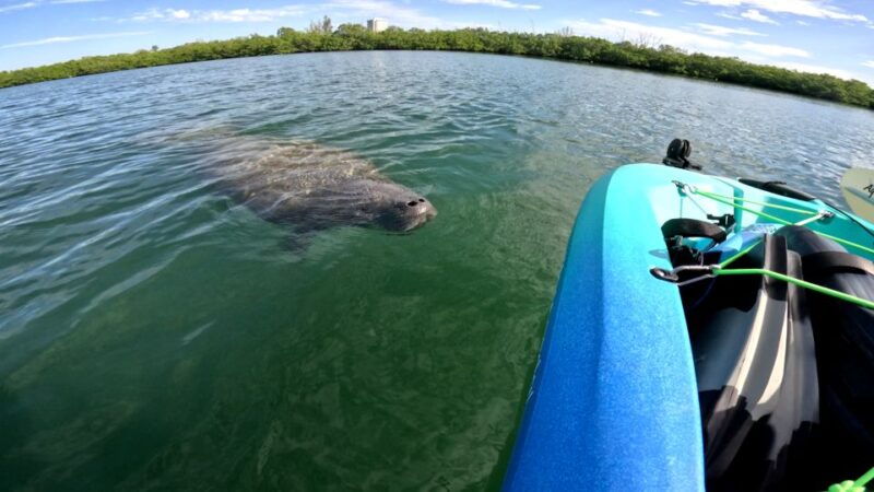 bradenton-guided-pedal-kayak-tour