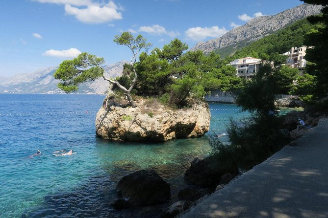 brela-omis-grab-the-best
