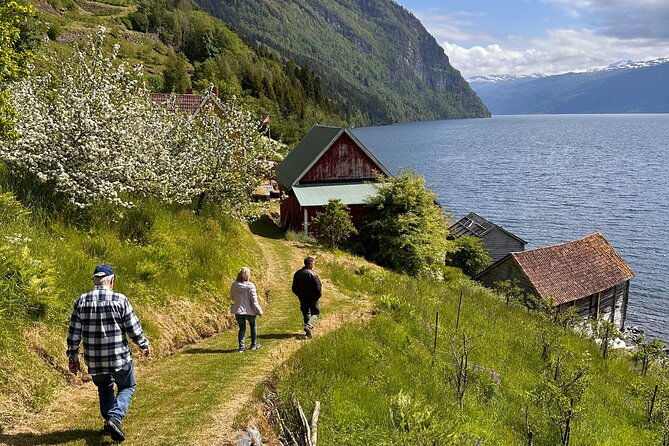 briksdal-glacier-and-loen-skylift-day-excursion