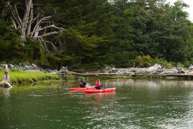 brookings-chetco-river-kayak-tour