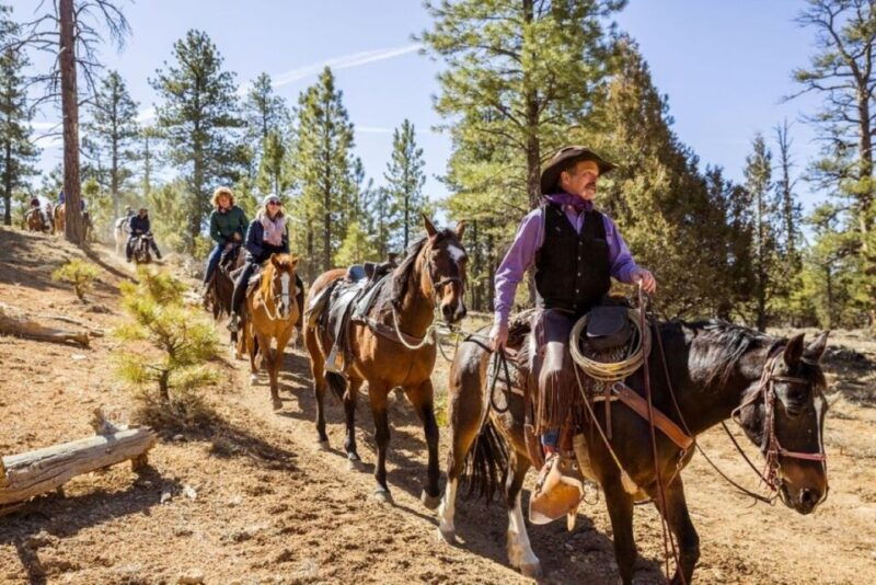 bryce-canyon-city-horseback-riding-tour-in-red-canyon