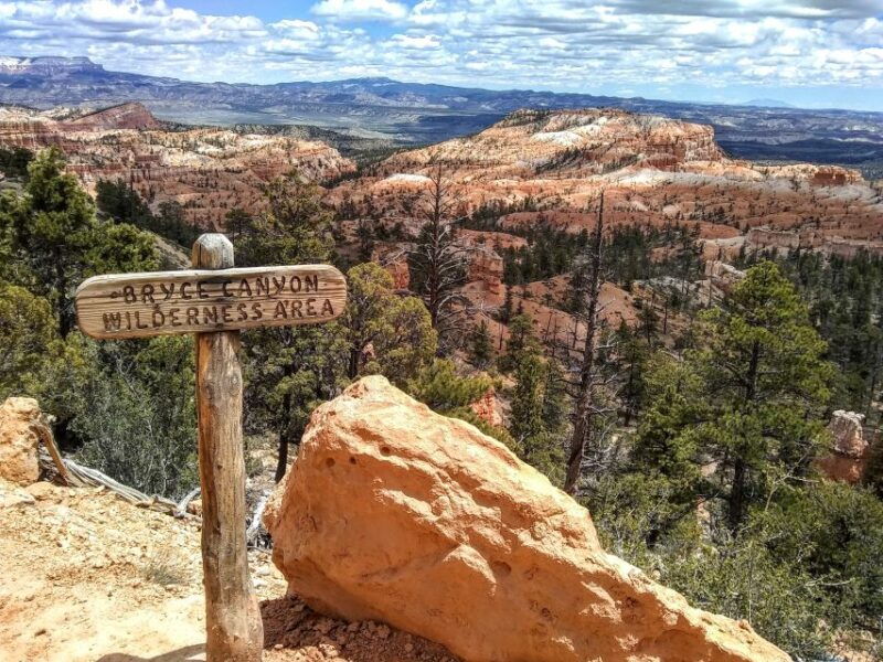 bryce-guided-sightseeing-tour-of-bryce-canyon-national-park