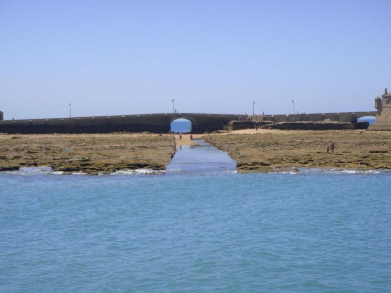 cadiz-bay-of-cadiz-catamaran-tour-with-host