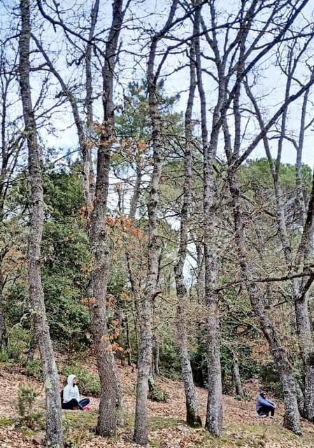 cagliari-forest-bathing-at-sette-fratelli-park