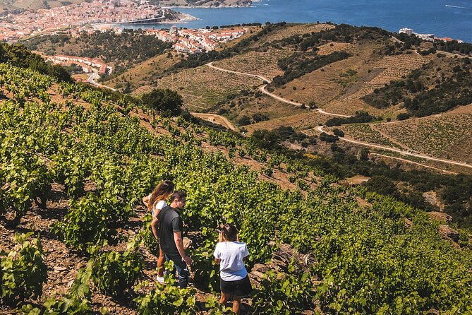 camembert-in-banyuls