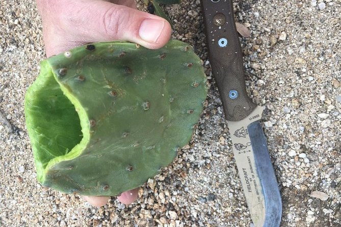 canyon-adventure-ancient-ruins-wild-foods-survival-skills
