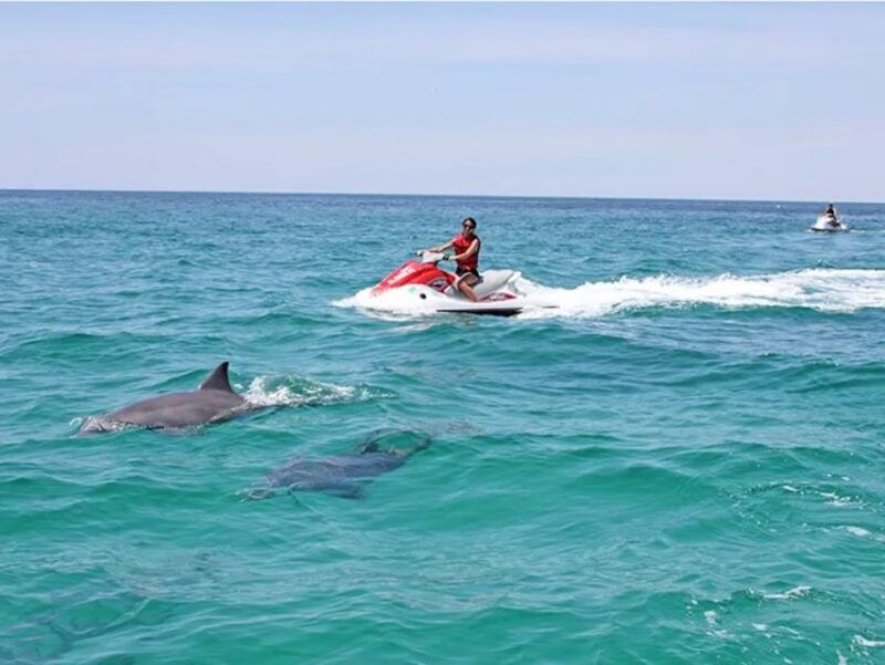 cape-coral-and-fort-myers-wild-life-jet-ski-tour