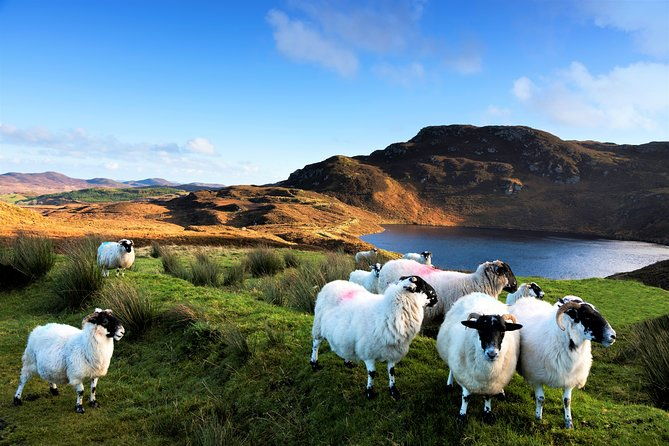 castles-of-connemara-tour-departing-galway-private-guided
