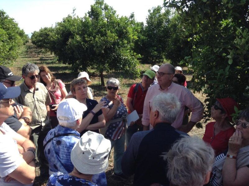 catania-gaspare-well-farm-guided-tour-with-tastings