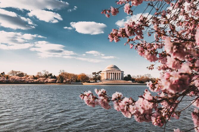 cherry-blossom-private-bus-tour-of-washington-dc