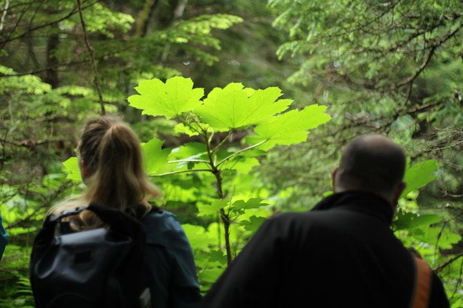 chilkat-inlet-coastal-hike-in-haines
