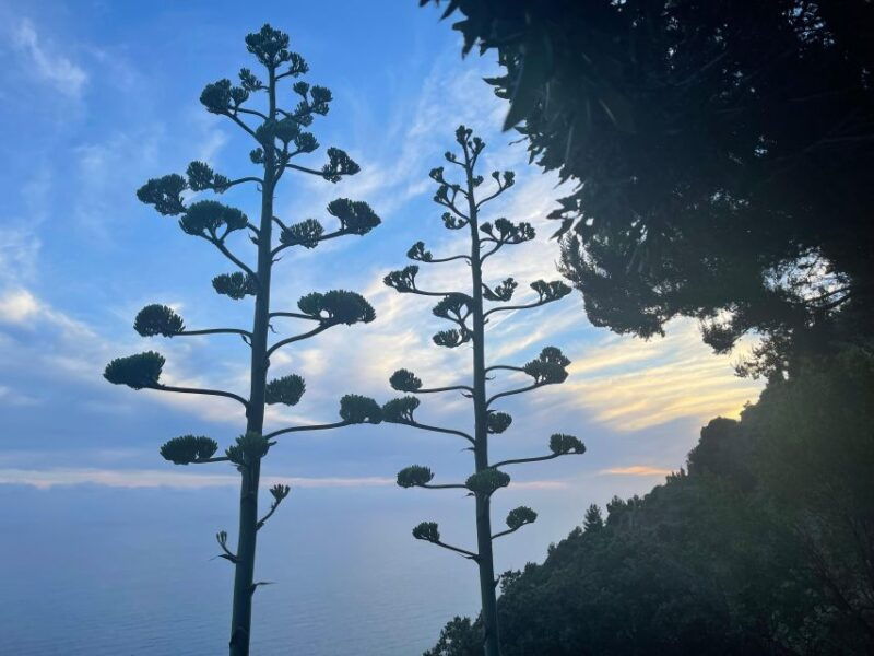 cinqueterre-experience