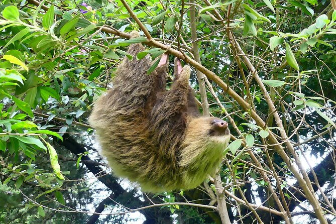 cloud-forest-hike-only-30-minutes-from-san-jose