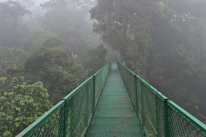 cloud-forest-wonders-guided-tour