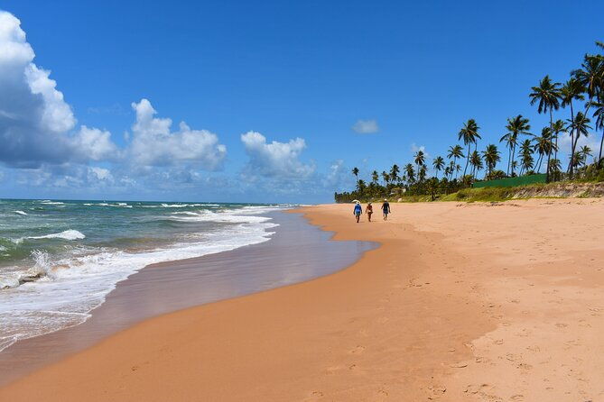 coconut-coast-surf-adventure-vacation-seven-days-with-a-pro