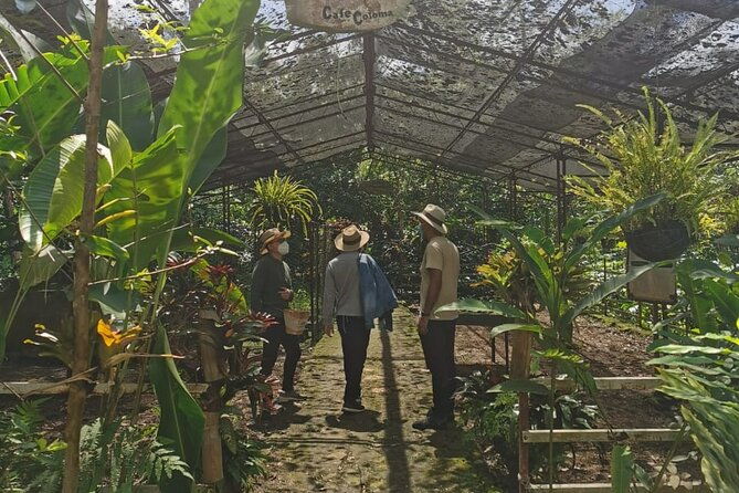 coffee-farm-group-tour-and-daily-departure-2