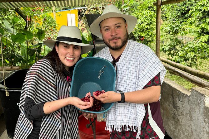 coffee-farmer-for-a-day-with-lunch-included