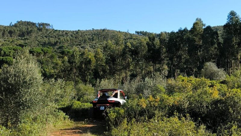 coimbra-condeixa-off-road-buggy-adventure-80min