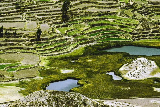 colca-canyon-full-day-buffet-lunch