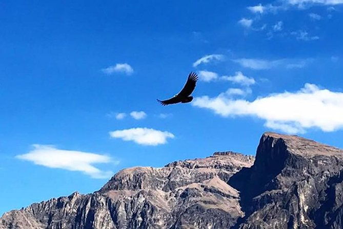 colca-full-day-group-tour