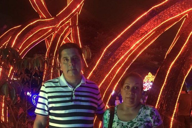 combo-tour-street-art-christmas-lights-and-food-tour-in-medellin