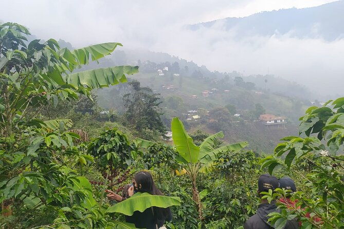 comuna-8-and-coffee-tour