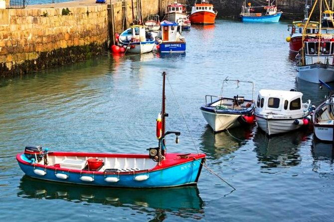 connemara-inishturk-island-wildlife-watching-cruise-private-guided-full-day