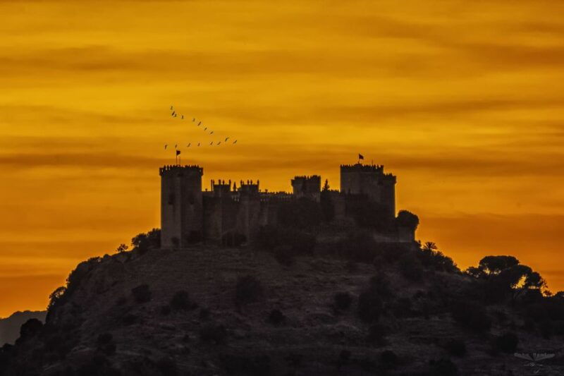 cordoba-almodovar-castle-entrance-ticket