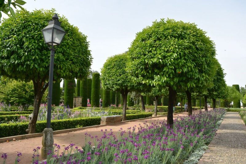 cordoba-gardens-fortress-of-catholic-monarchs-guided-tour
