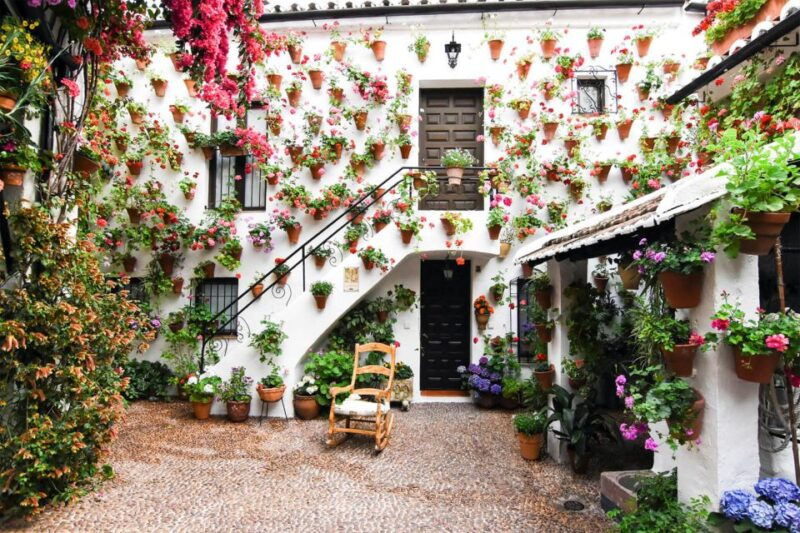cordoba-guided-tour-of-the-patios