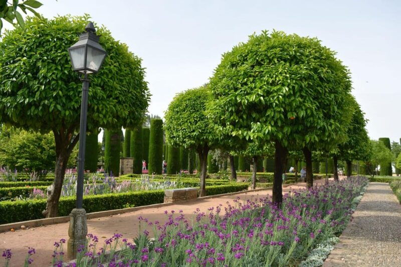 cordoba-monuments-walking-tour
