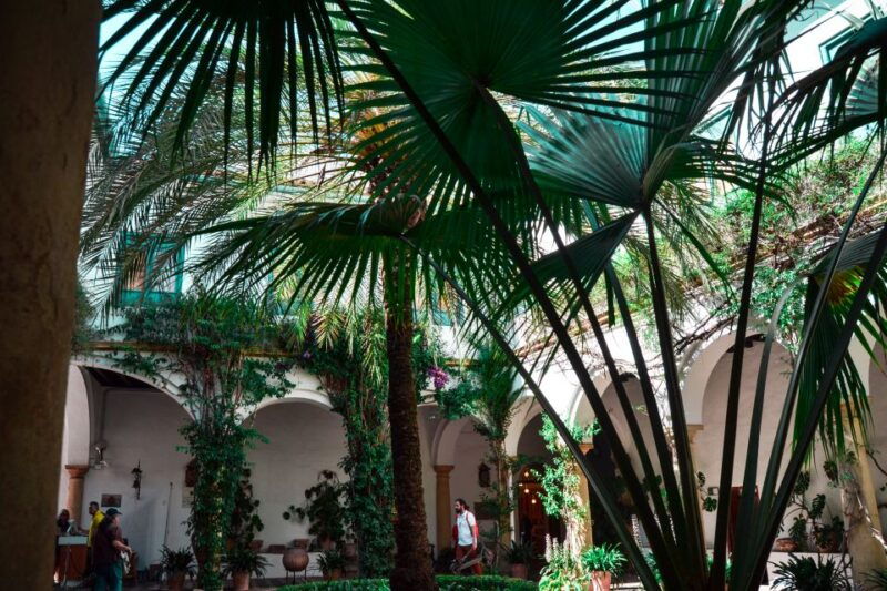 cordoba-patios-and-viana-palace-tour