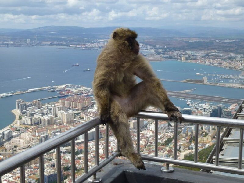 costa-del-sol-gibraltar-day-trip-with-optional-rock-tour