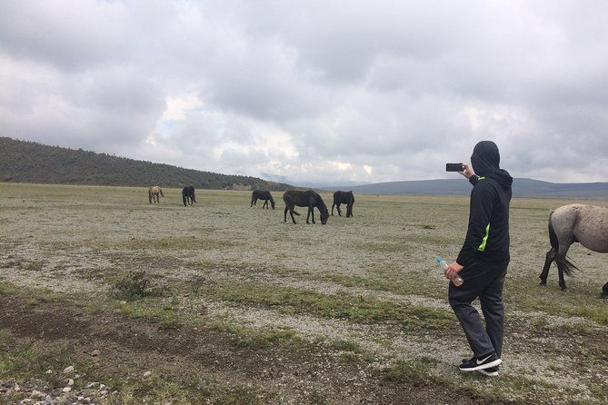 cotopaxi-volcano-private-day-trip-from-quito