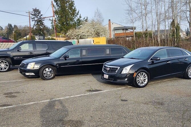 cruise-port-of-palm-beach-to-palm-beach-arrival-private-transfer