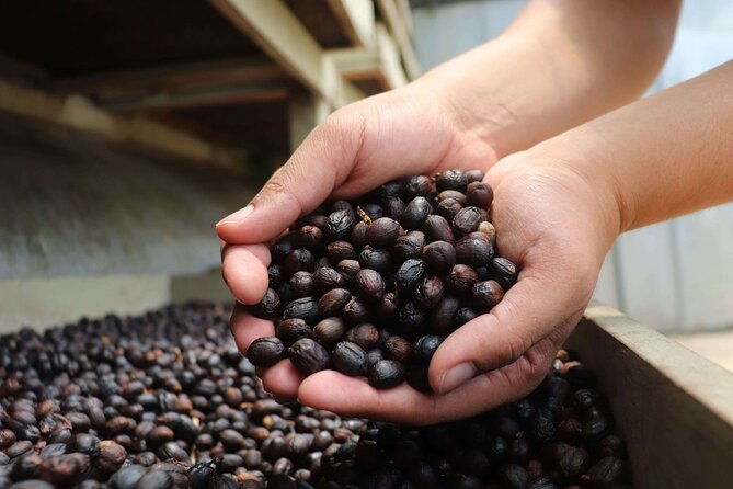 cultural-diria-coffee-tour-guaitil-ceramic-pottery-lunch