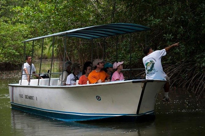 damas-mangroove-boat-tour-from-manuel-antonio