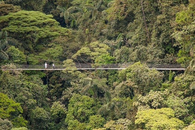 day-trip-from-san-jose-to-arenal-hanging-bridges-tabacon-hot-springs