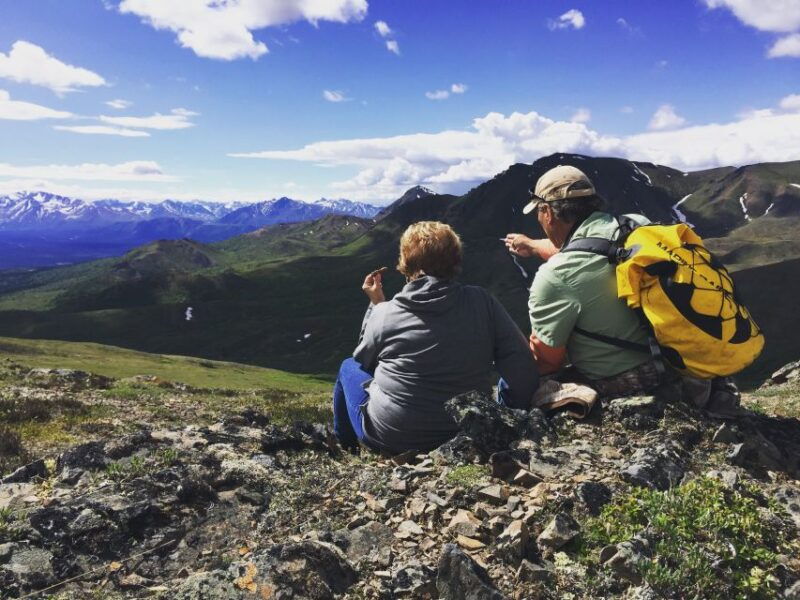 denali-5-hour-guided-wilderness-hiking-tour