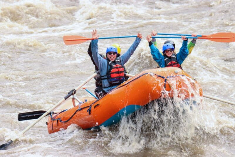 denali-alaska-canyon-wave-raft-class-iii-iv-paddle-oar