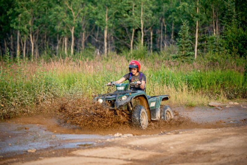 denali-national-park-wilderness-atv-adventure