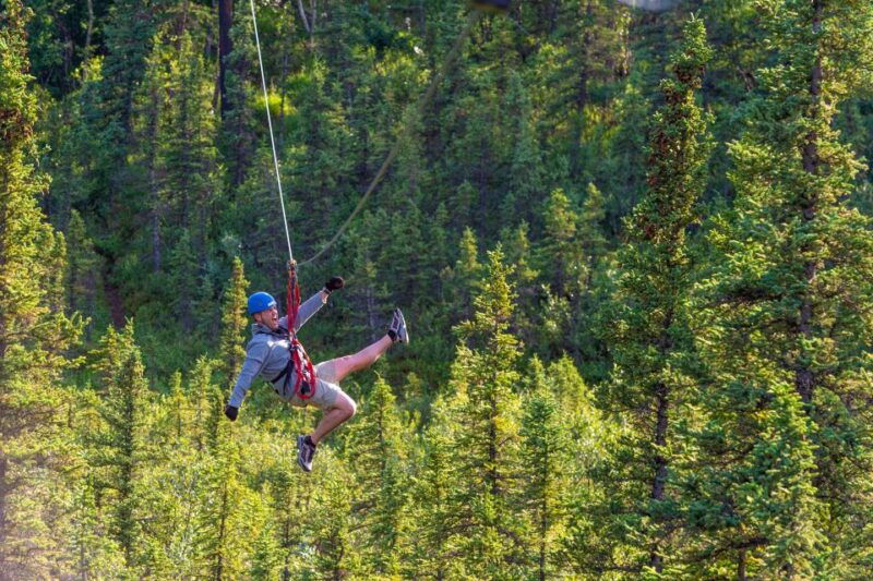 denali-park-zipline-adventure-2