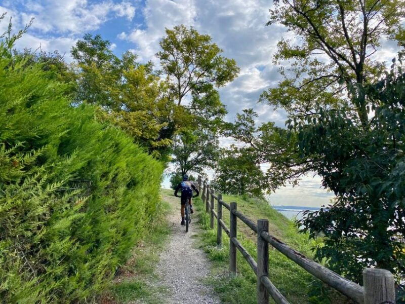 desenzano-e-bike-tour-with-wine-tasting