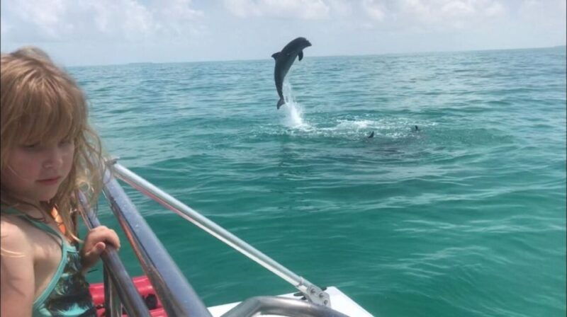 destin-dolphin-watching-cruise