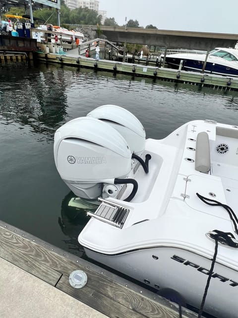 destin-fish-and-fun-destin