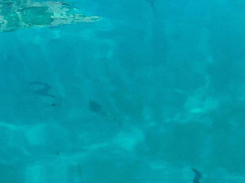 dinghy-tour-in-the-crystal-clear-waters-of-the-gulf-of-cagliari-prosecco