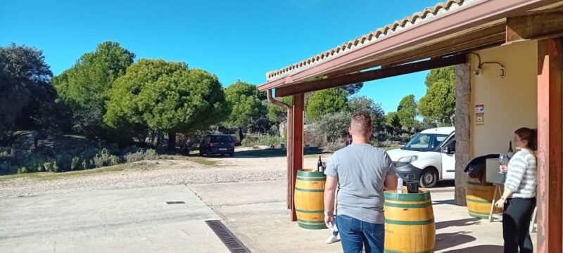 discover-madrids-best-exclusive-wine-tour-tastings-await-2