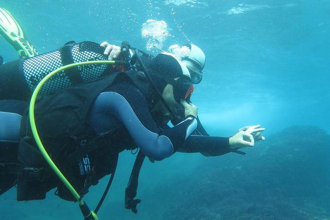 discover-scuba-diving-or-try-dive