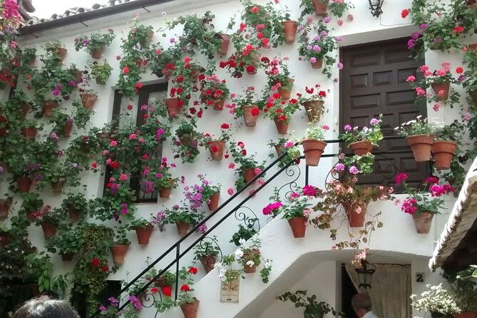 discover-the-patios-de-cordoba-guided-tour