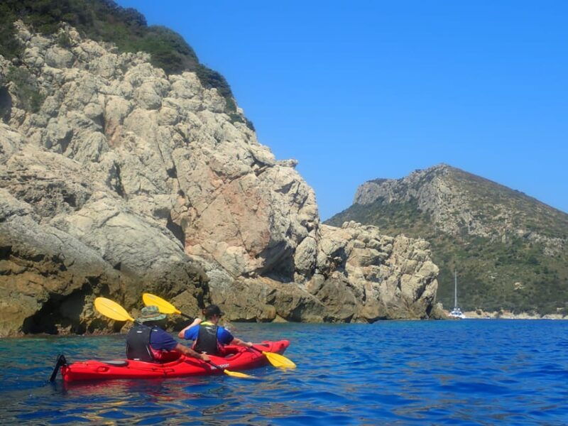 dolphin-kayak-safari-at-sunset-at-golfo-aranci